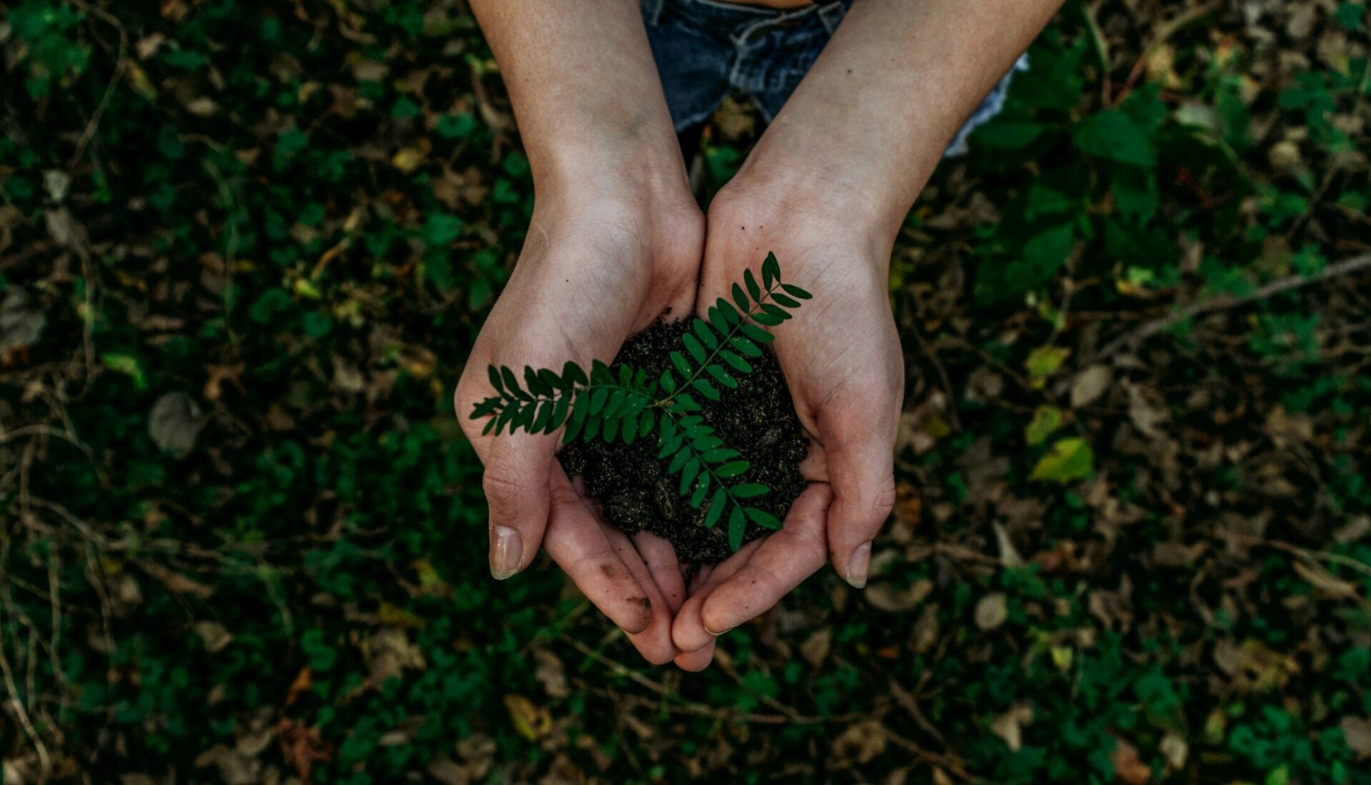 green key for tsj