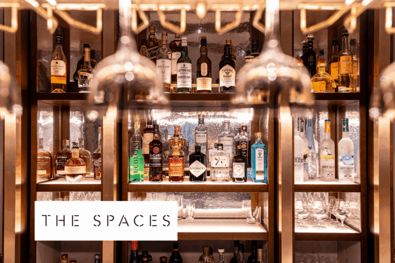 In the news – TSJ website (11)
