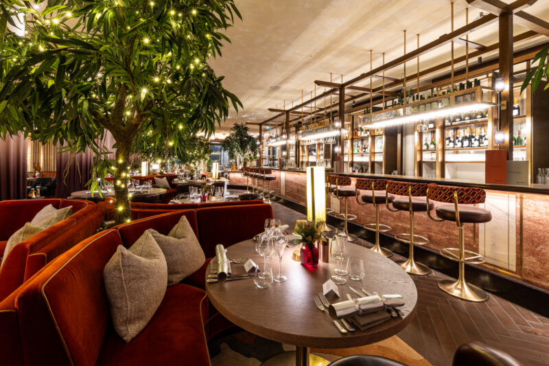 IMG_8217-Enhanced-NR